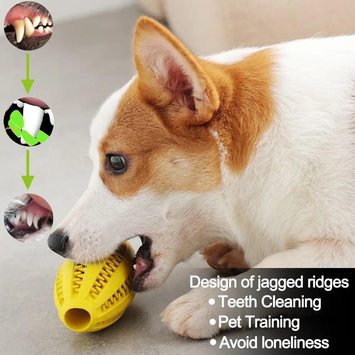 Natural Rubber Treat Ball – Dental Dog Toy for Big Chewers