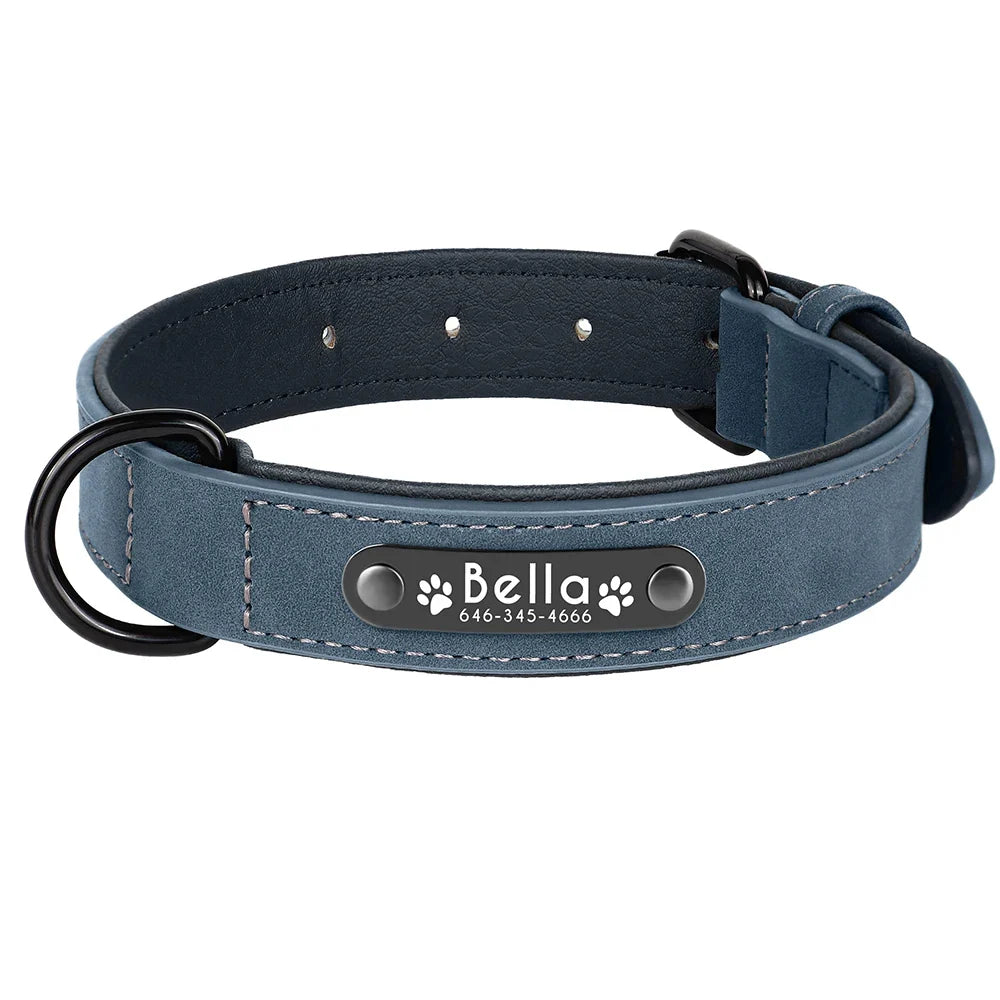 Personalized Leather Dog Collar with Engraved Nameplate — Soft Padded Leather, Silent ID