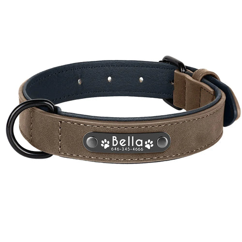 Personalized Leather Dog Collar with Engraved Nameplate — Soft Padded Leather, Silent ID