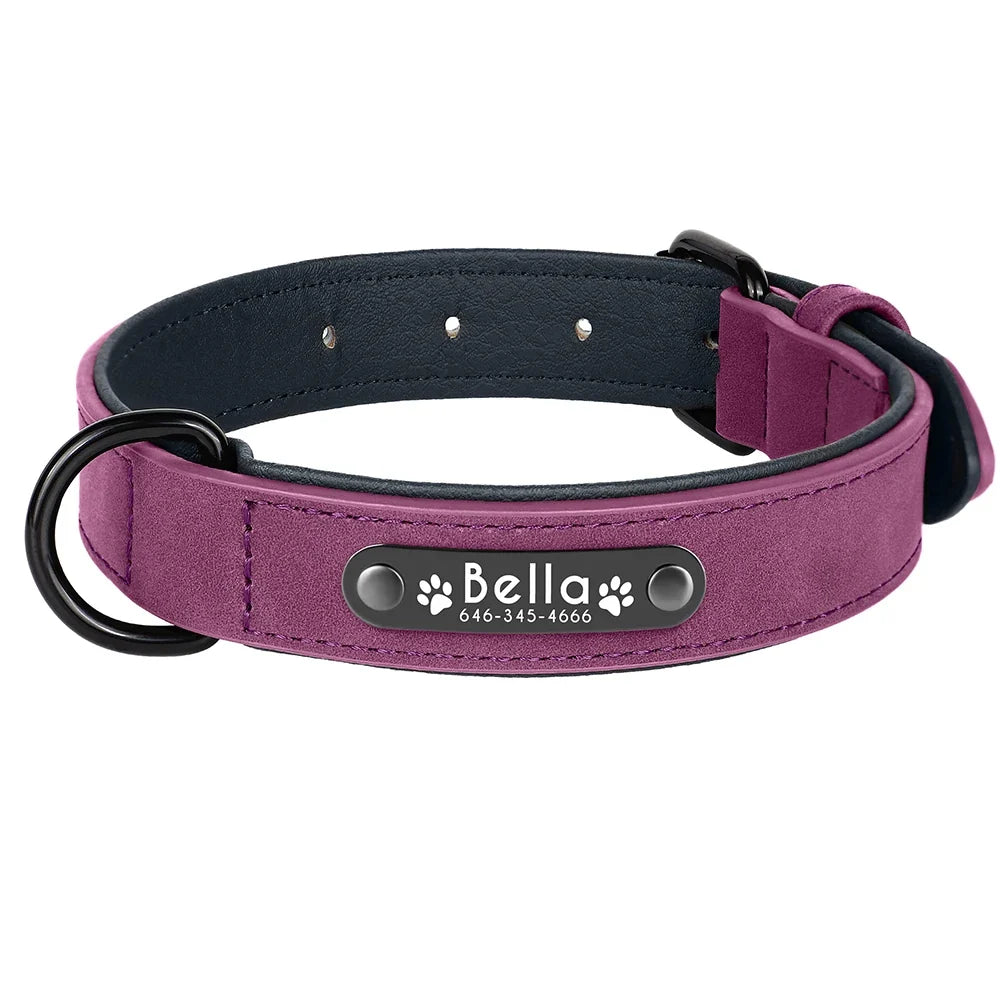 Personalized Leather Dog Collar with Engraved Nameplate — Soft Padded Leather, Silent ID