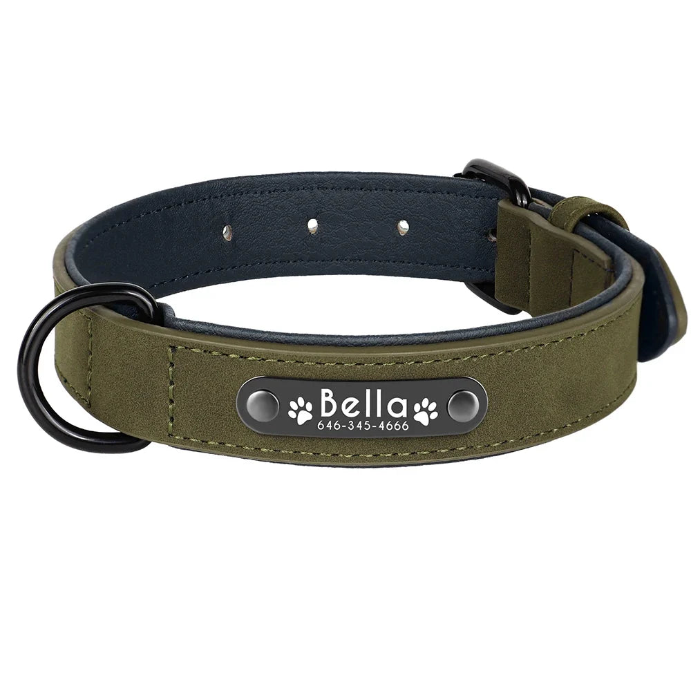 Personalized Leather Dog Collar with Engraved Nameplate — Soft Padded Leather, Silent ID