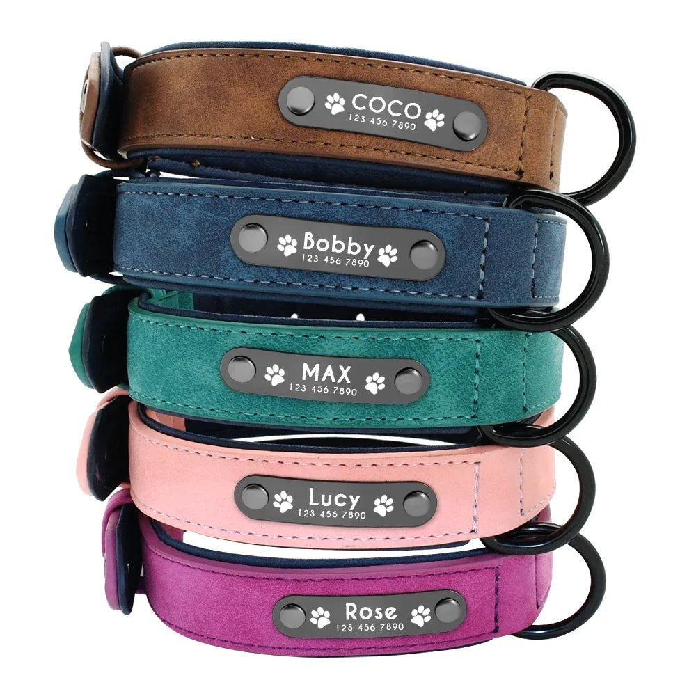Personalized Leather Dog Collar with Engraved Nameplate — Soft Padded Leather, Silent ID