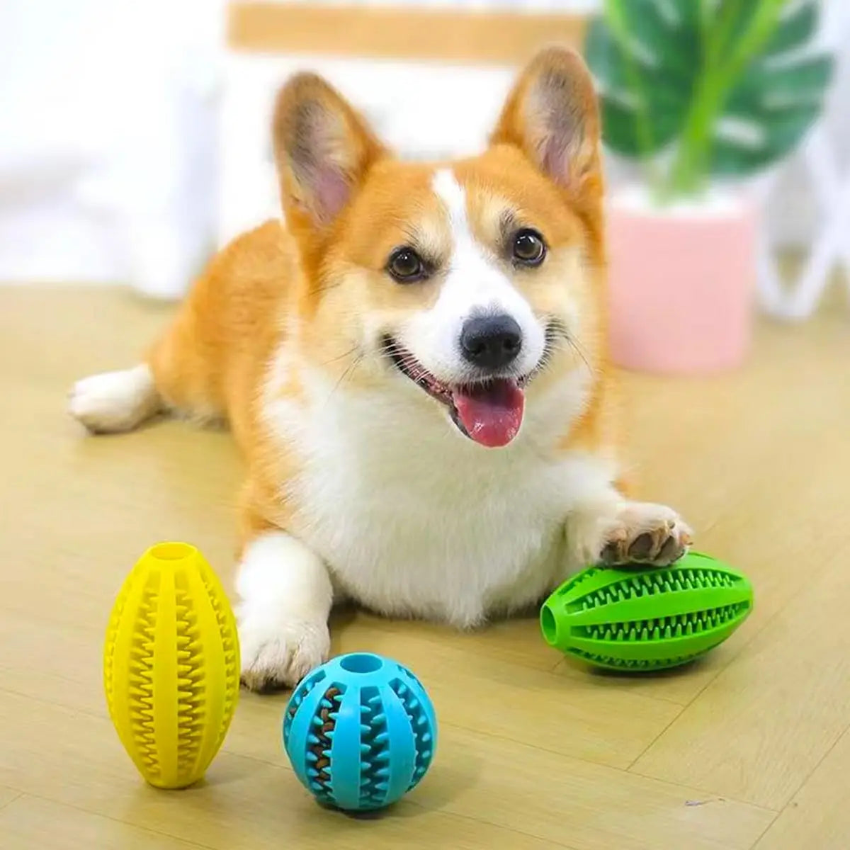 Natural Rubber Treat Ball – Dental Dog Toy for Big Chewers