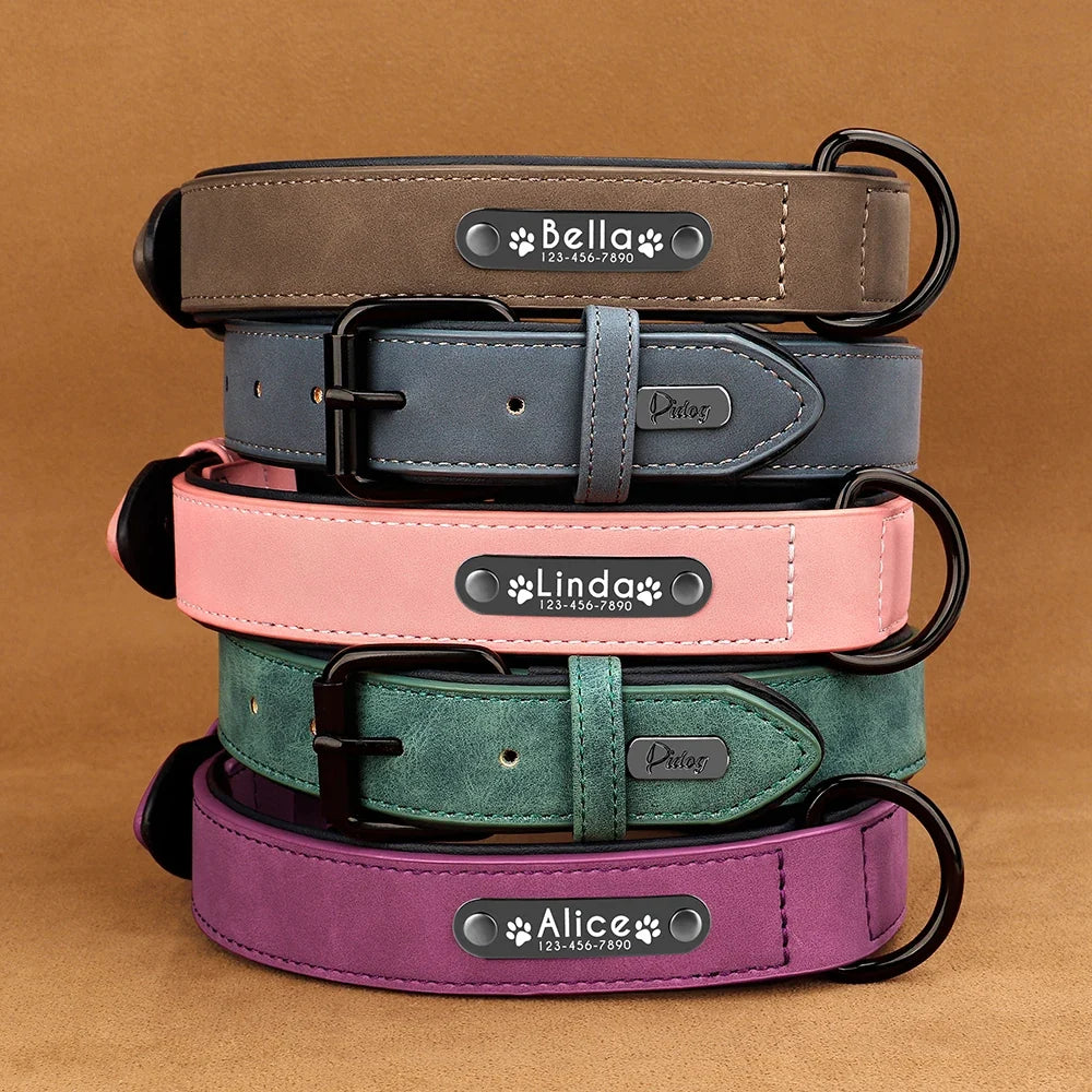 Personalized Leather Dog Collar with Engraved Nameplate — Soft Padded Leather, Silent ID