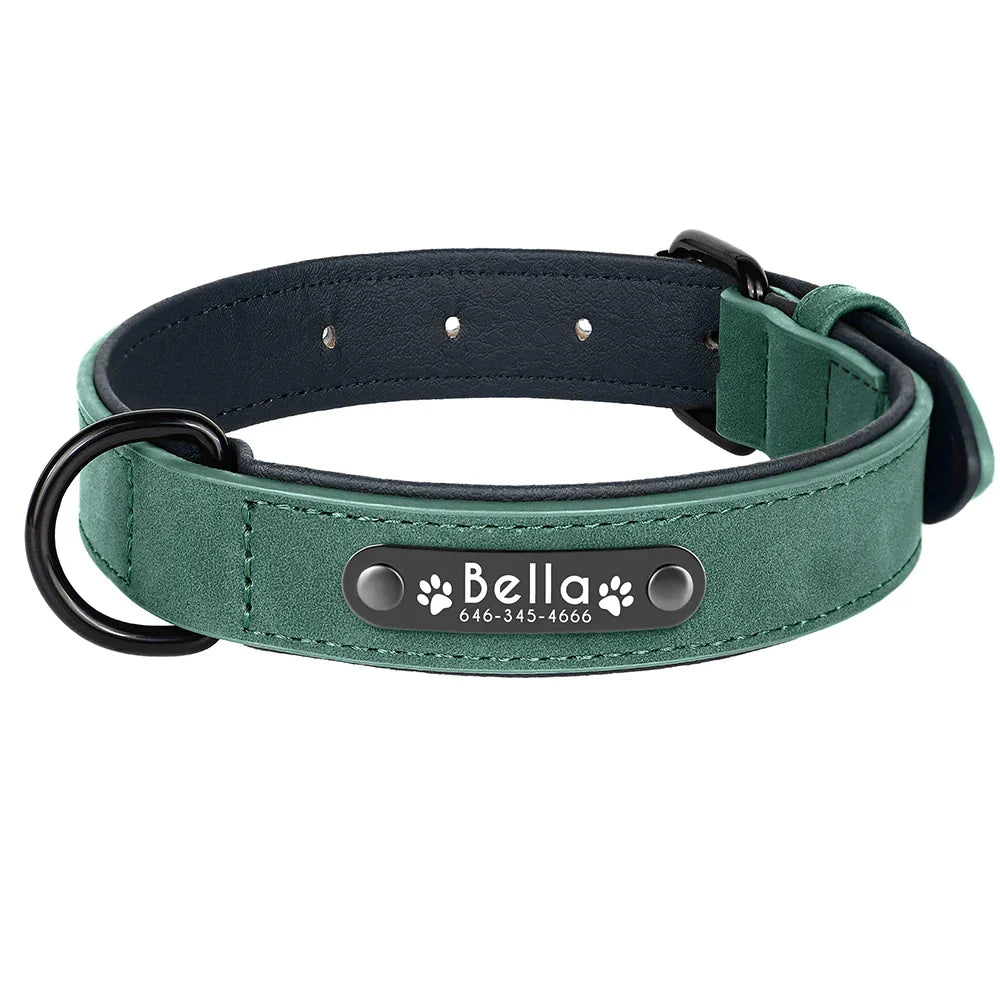 Personalized Leather Dog Collar with Engraved Nameplate — Soft Padded Leather, Silent ID