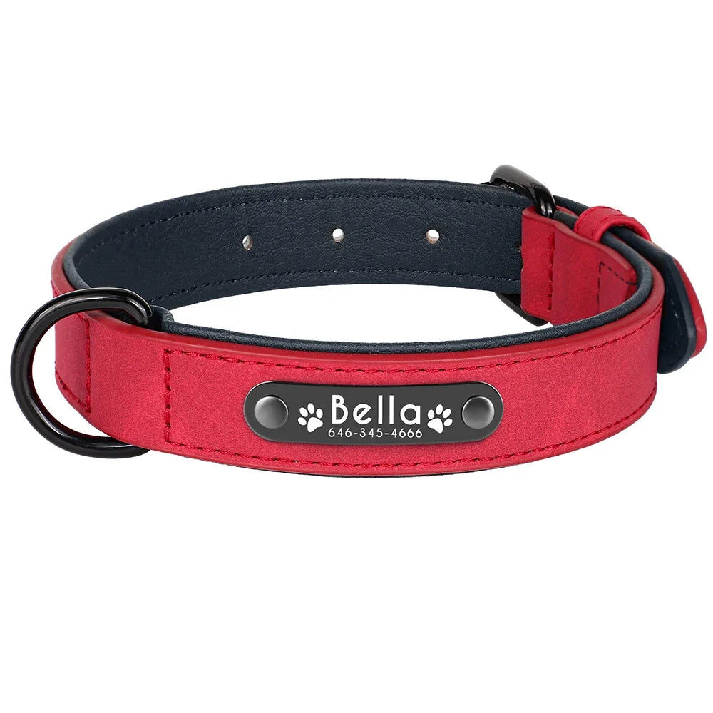 Personalized Leather Dog Collar with Engraved Nameplate — Soft Padded Leather, Silent ID