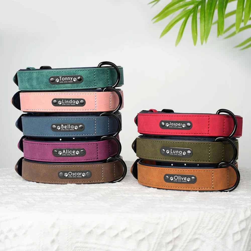 Personalized Leather Dog Collar with Engraved Nameplate — Soft Padded Leather, Silent ID