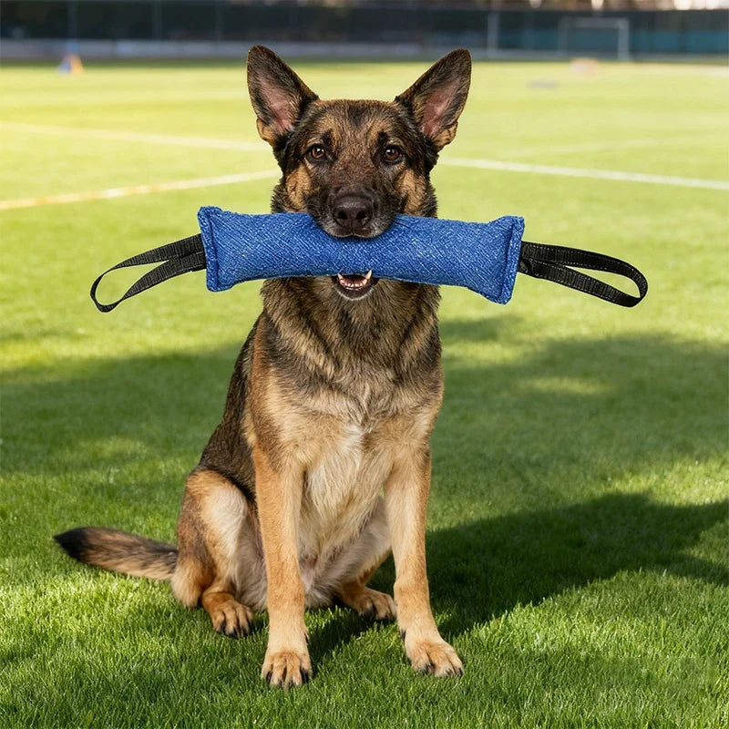 Jute Bite Tug Pillow — Two-Handle Training Tug for Dogs With Real Drive