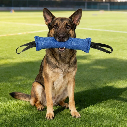 Jute Bite Tug Pillow — Two-Handle Training Tug for Dogs With Real Drive