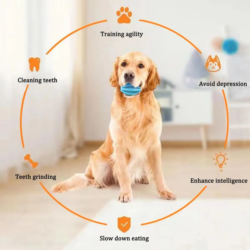 Natural Rubber Treat Ball – Dental Dog Toy for Big Chewers
